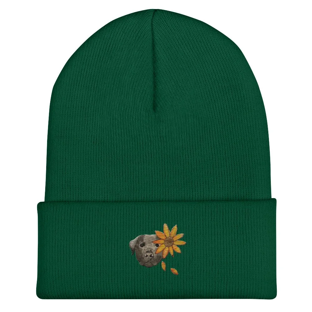 cuffed-beanie-spruce-front-65c2e256a2d05.jpg