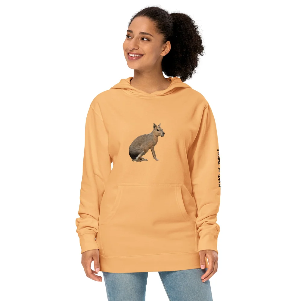 unisex-midweight-hoodie-peach- 