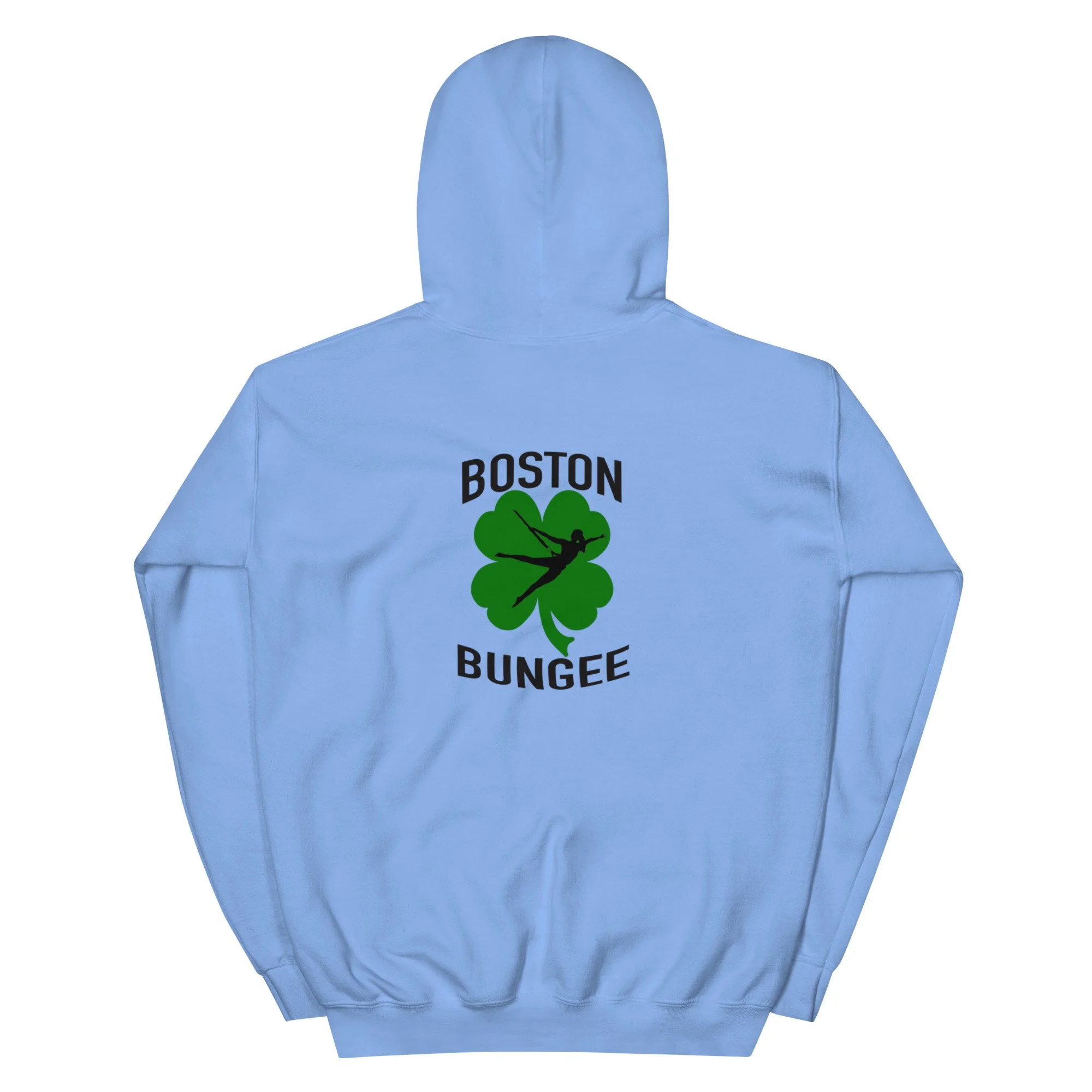 unisex-heavy-blend-hoodie-carolina-blue-back-69e0d9232a420.jpg