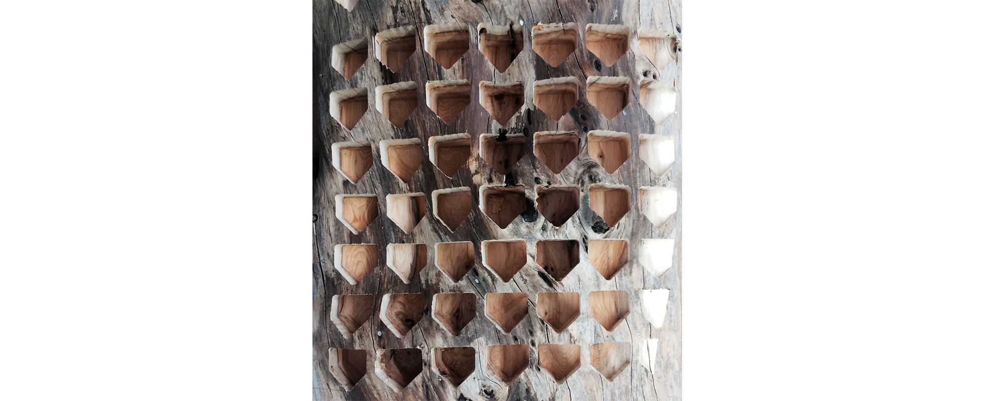 wood.jpg