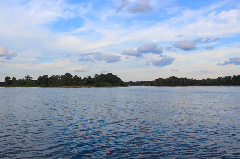 IMG_7003.jpg
