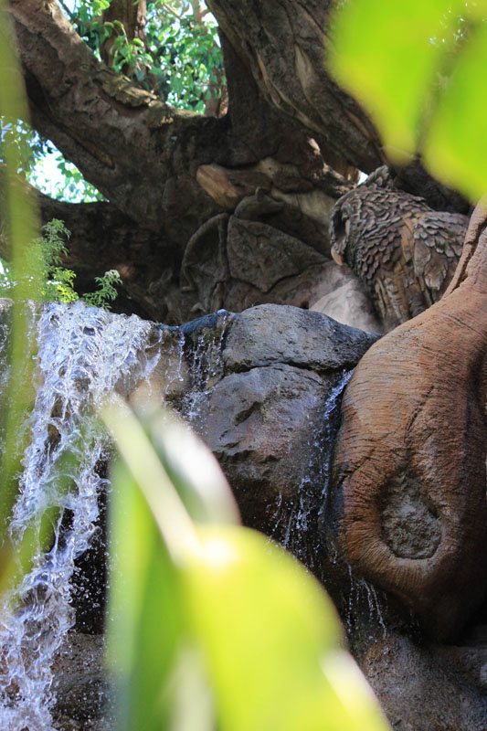 I thought the waterfall and the Owl carved into the tree made for a good photo.