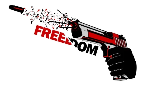 gun.jpg