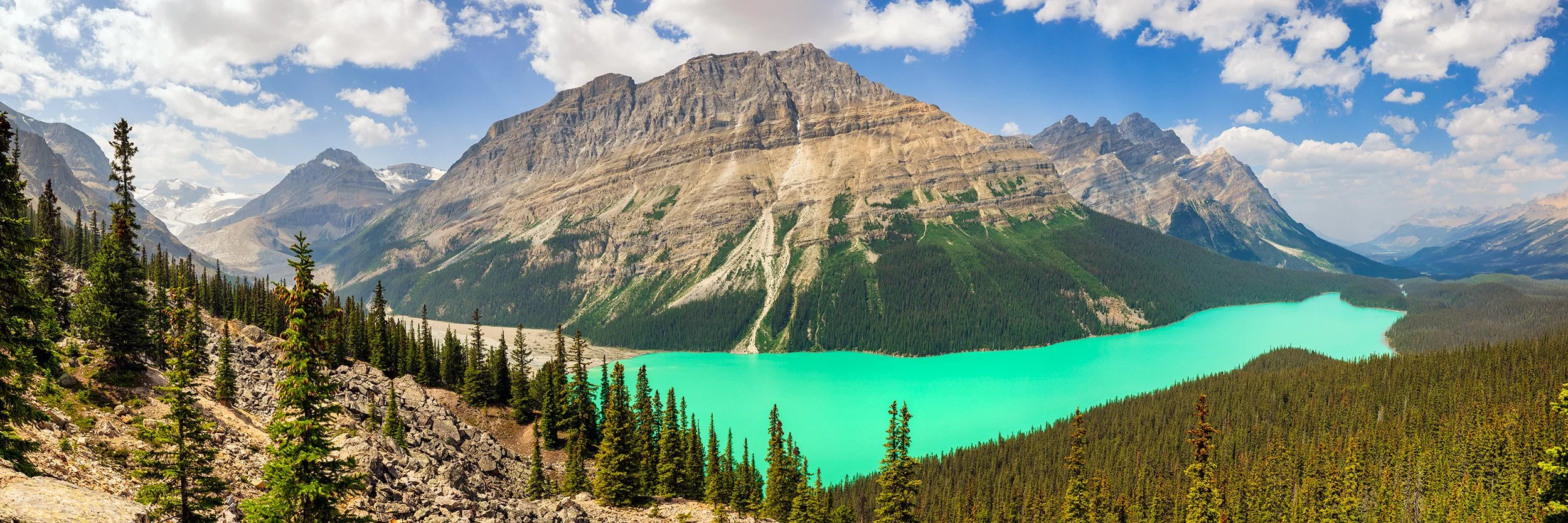 Peyto Lake Pano - 72x24.jpg