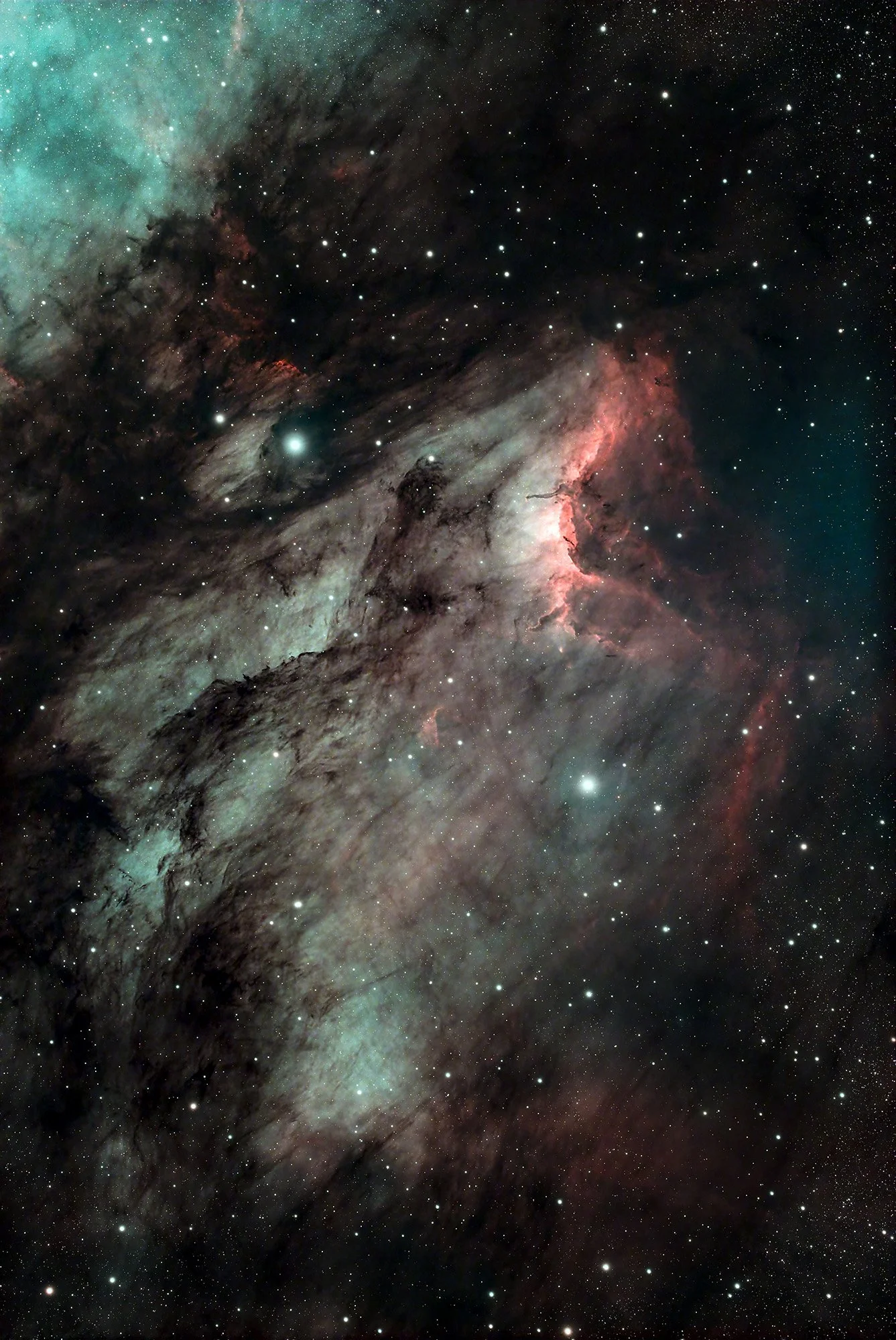 Pelican Nebula
