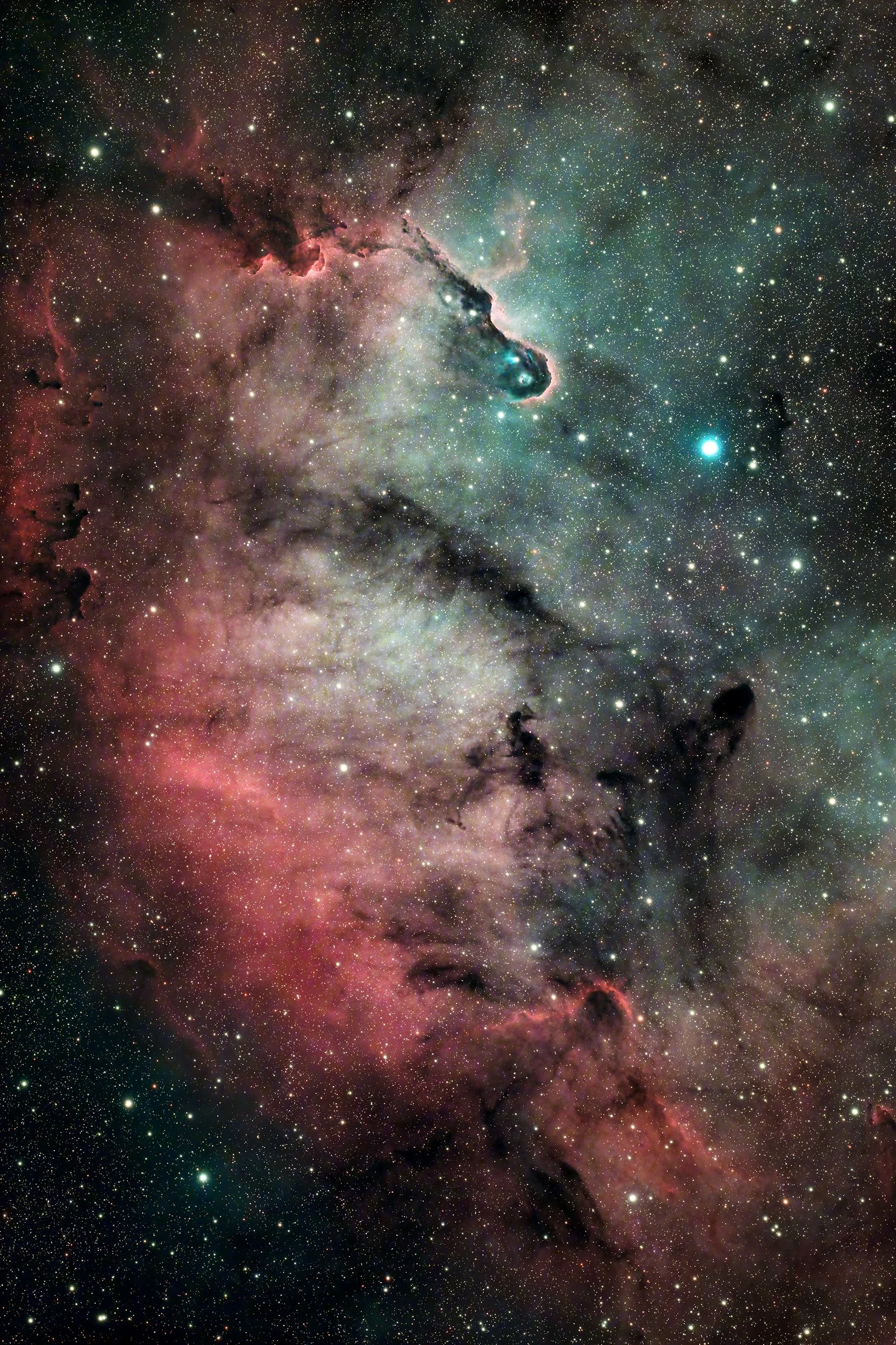 Elephant Trunk Nebula