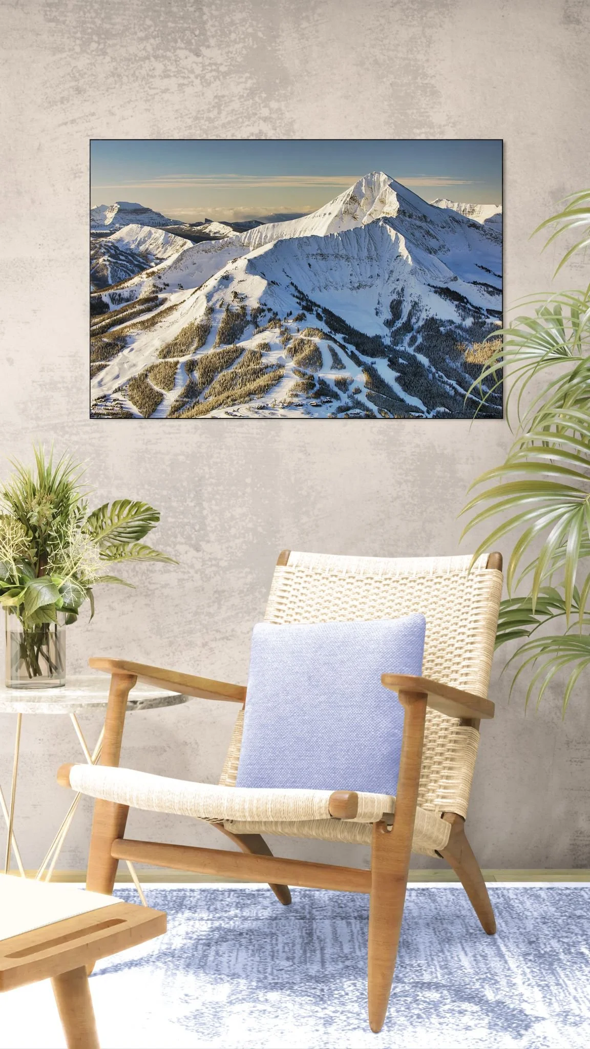 Sunlit room with a chair and tropical plants.jpg