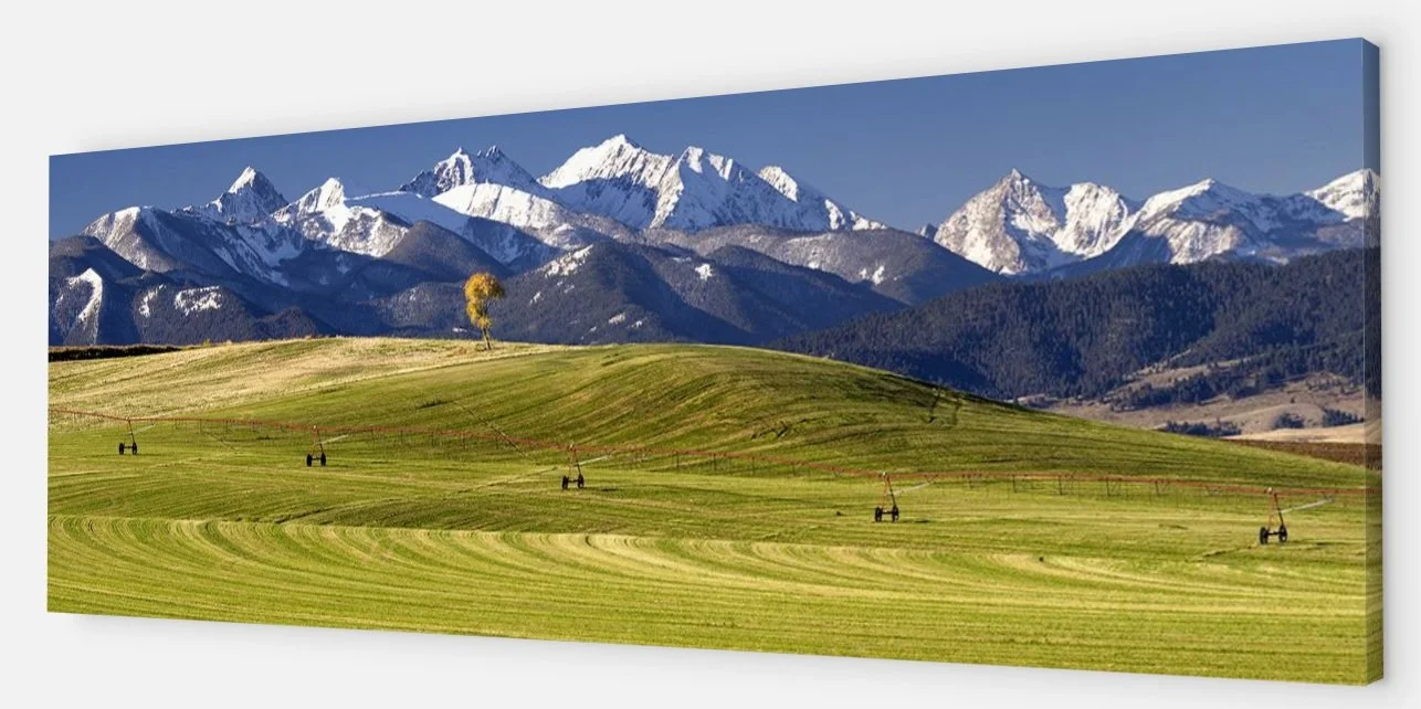 CHanging seasons_3d.jpg