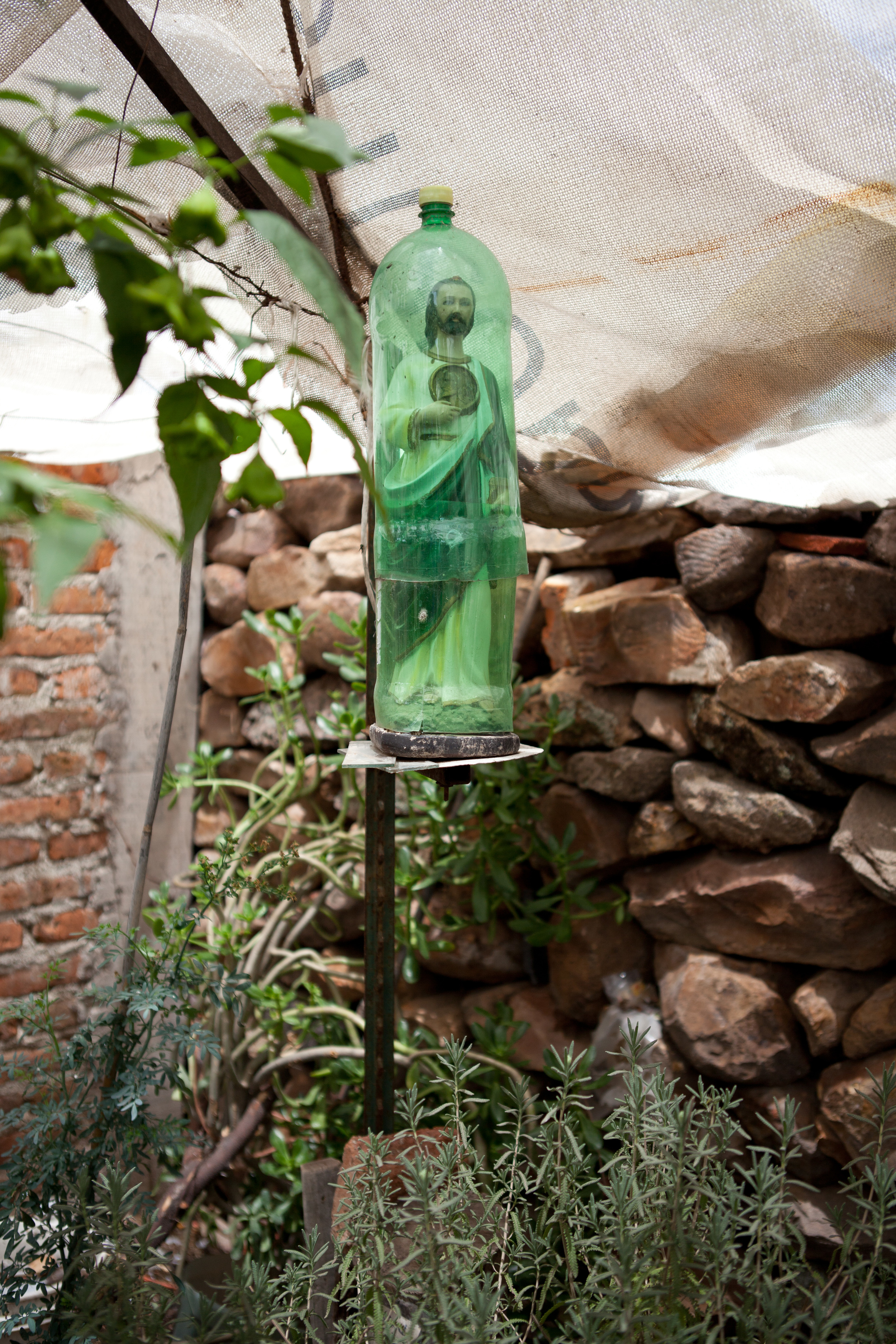 Lauren's Images-4-2.jpg