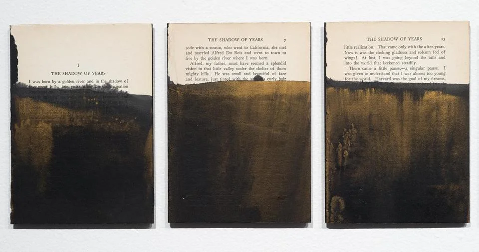 Darkwater III (after W.E.B. Du Bois)