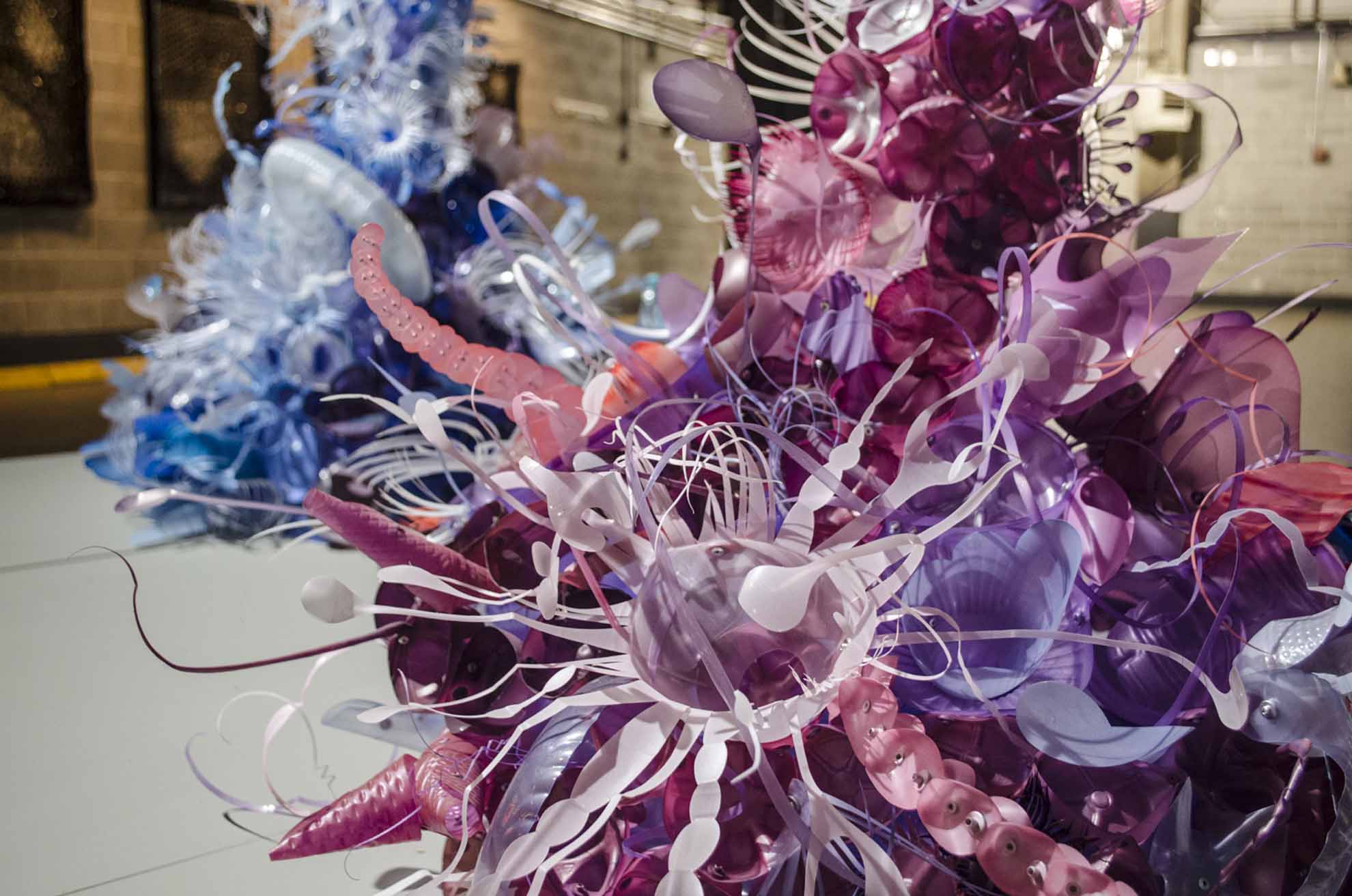 Installation Shot of Ona and Isla