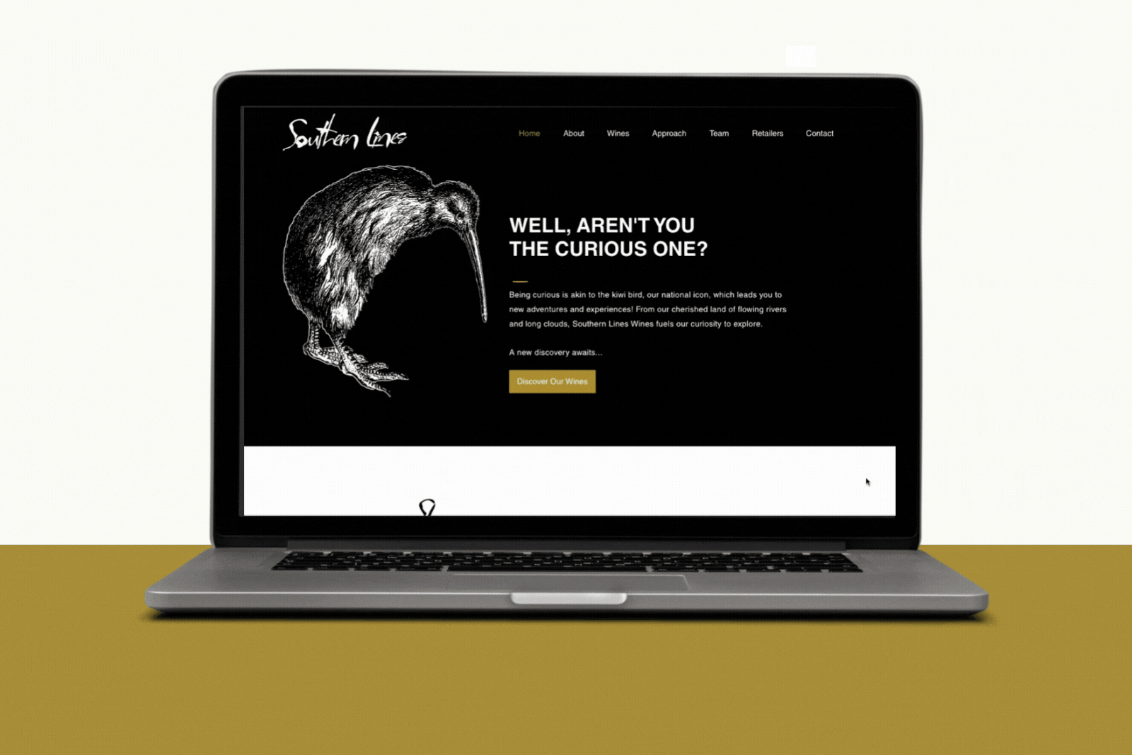 akuric.com - NewCo - SouthernLines - Website.gif