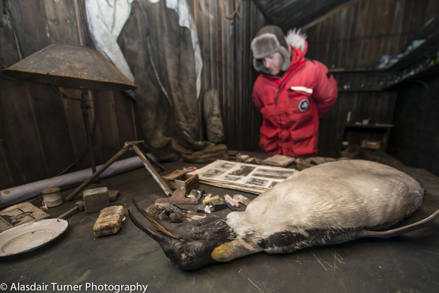 A penguin still lays on Scott's desk inside the Terra Nova hut. 