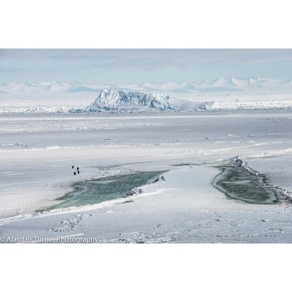 Cape Royds Antarctica.jpg