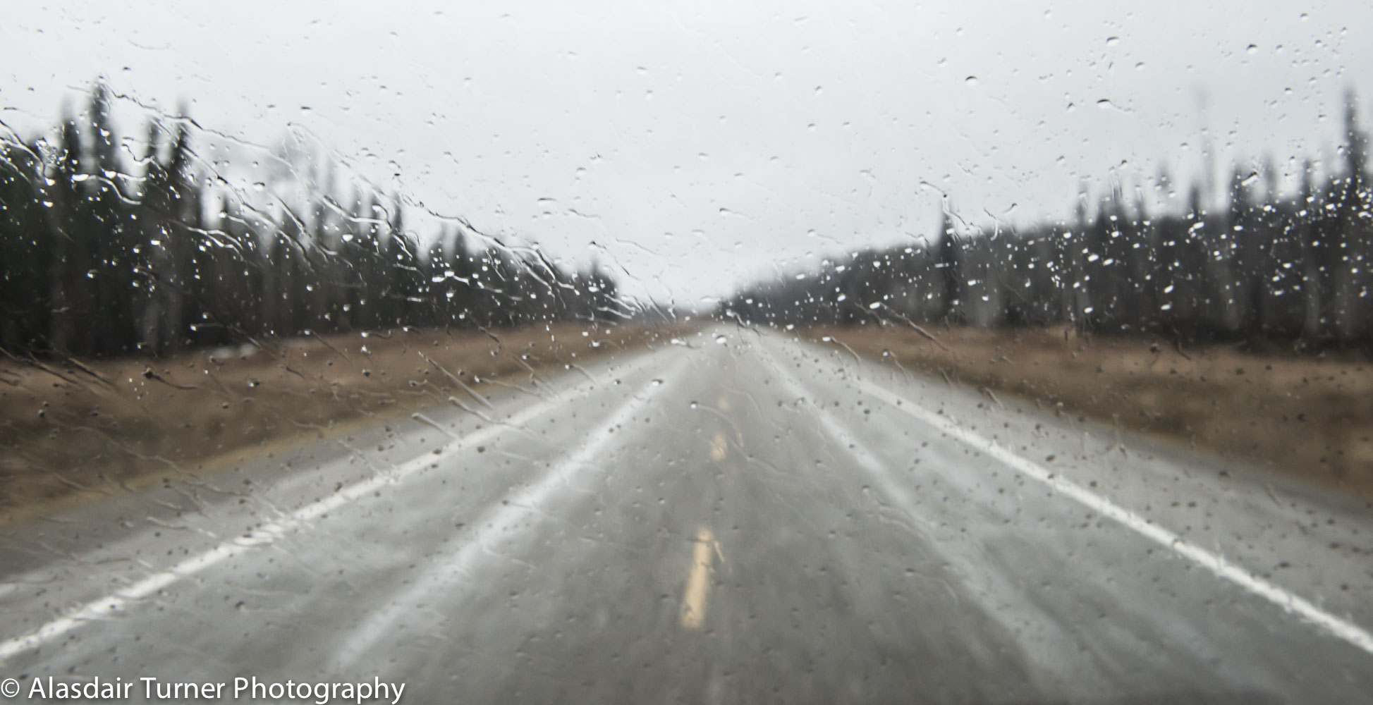  We had rain the first couple of days and this is about all we saw. &nbsp; 