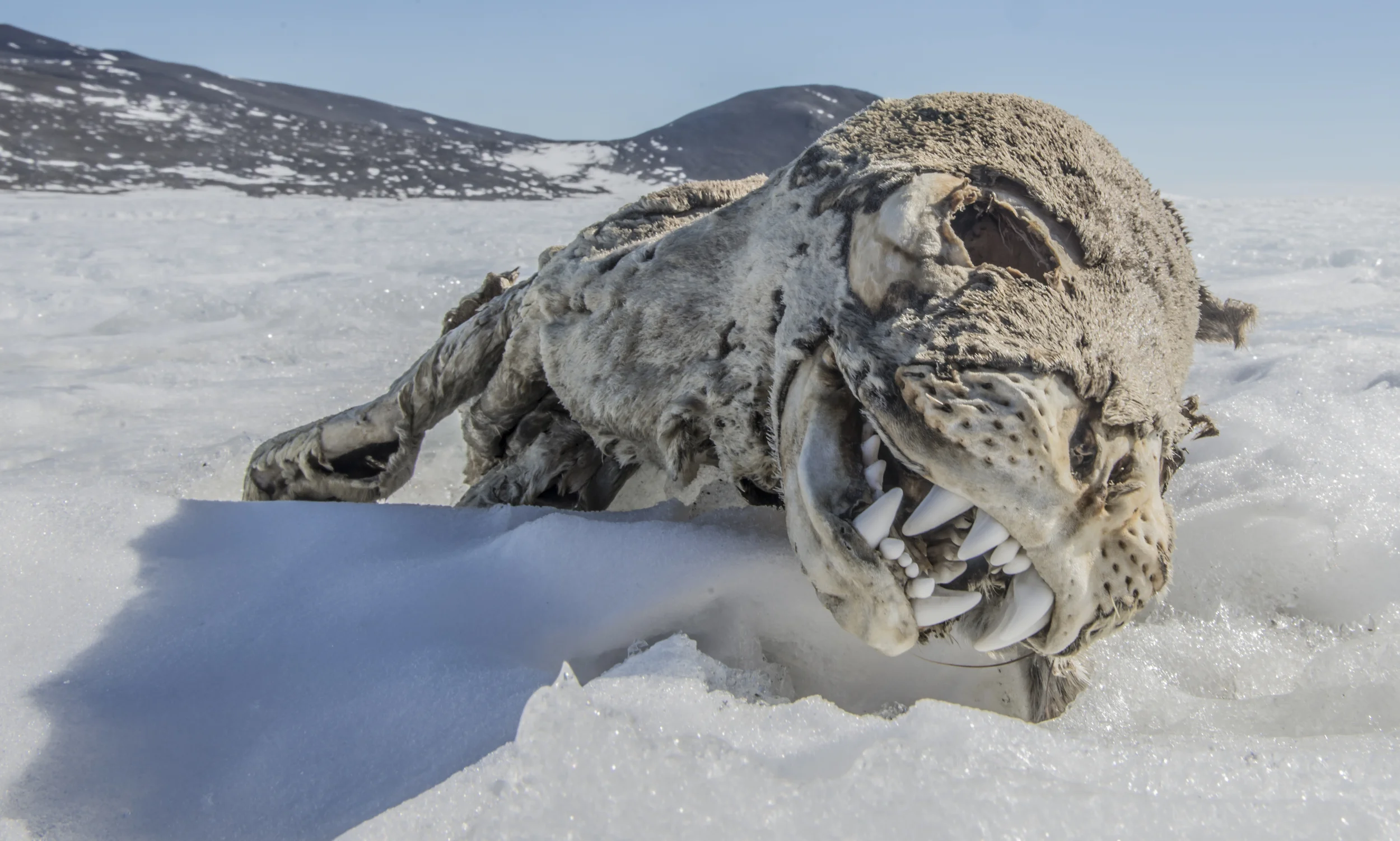 AlasdairTurnersmal-0849.jpg