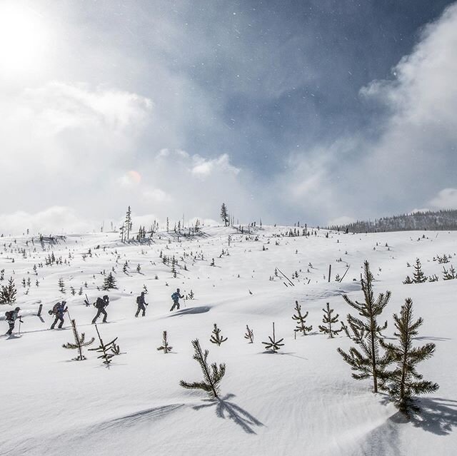 Just got back from a great weekend of avalanche education at the @alpine_lakes_high_camp  teaching for @alpineinstitute  This was one of the best teaching environments I have worked in for an @aiare_official course.  #avalanchesafety #outdoors #alpin