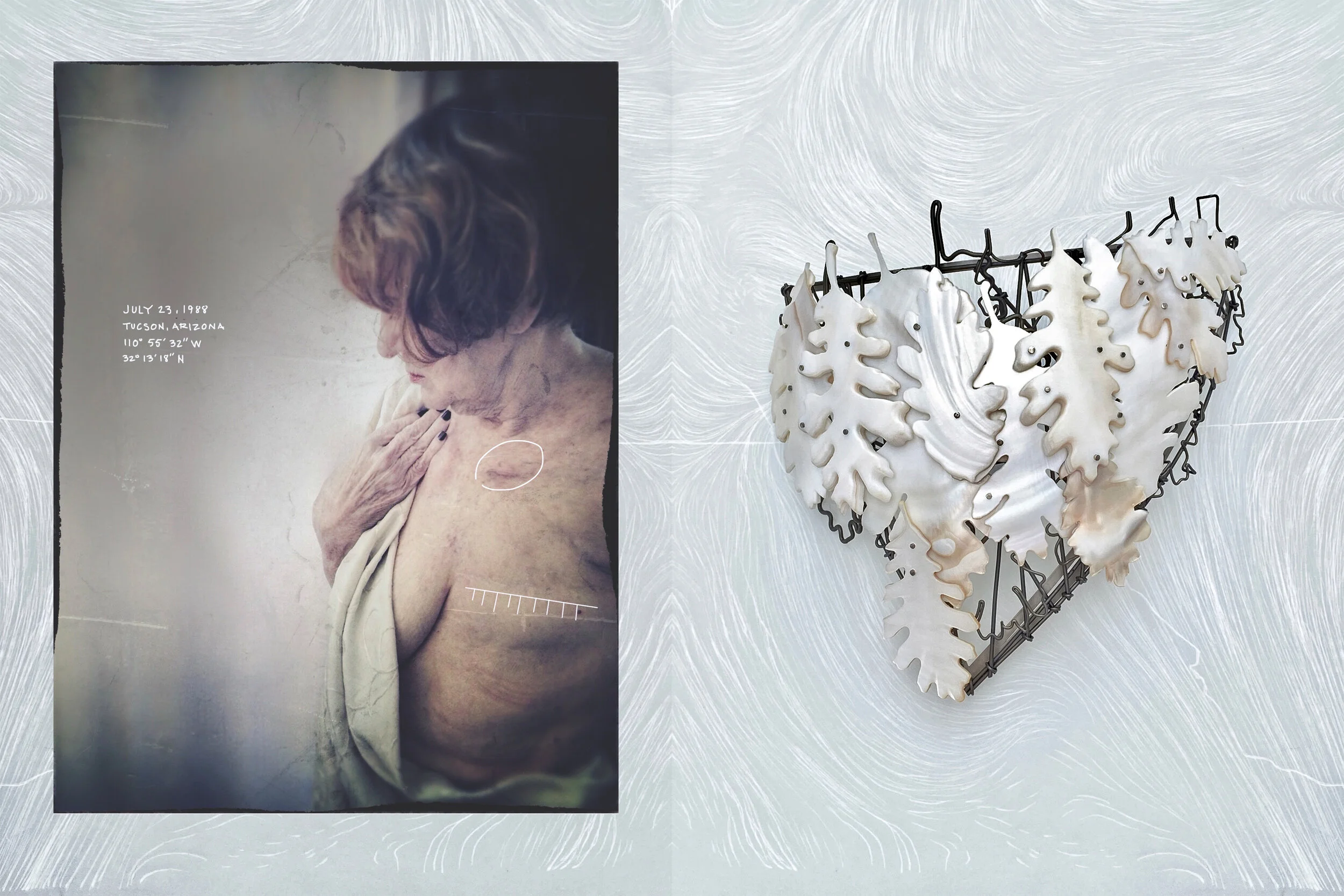 Portrait of cb1.A & Portrait of cb1.C