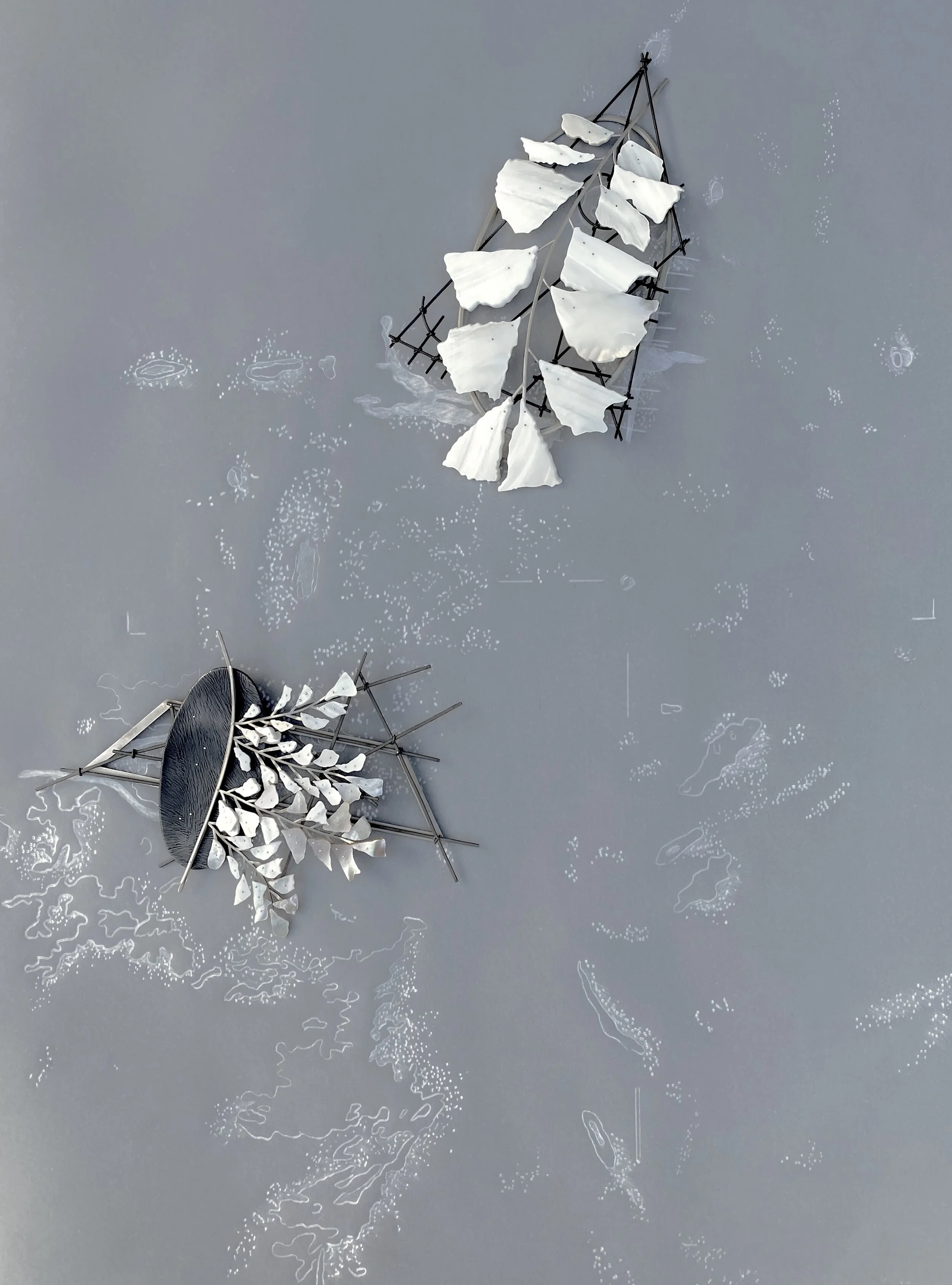 Portrait pp1.C1 and Portrait pp1.C2