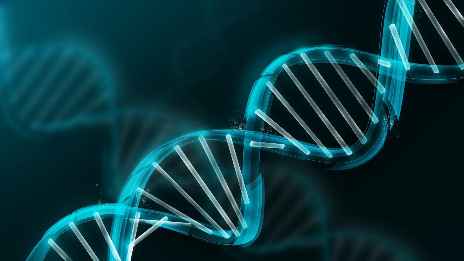 cropped-correct-dna.jpg