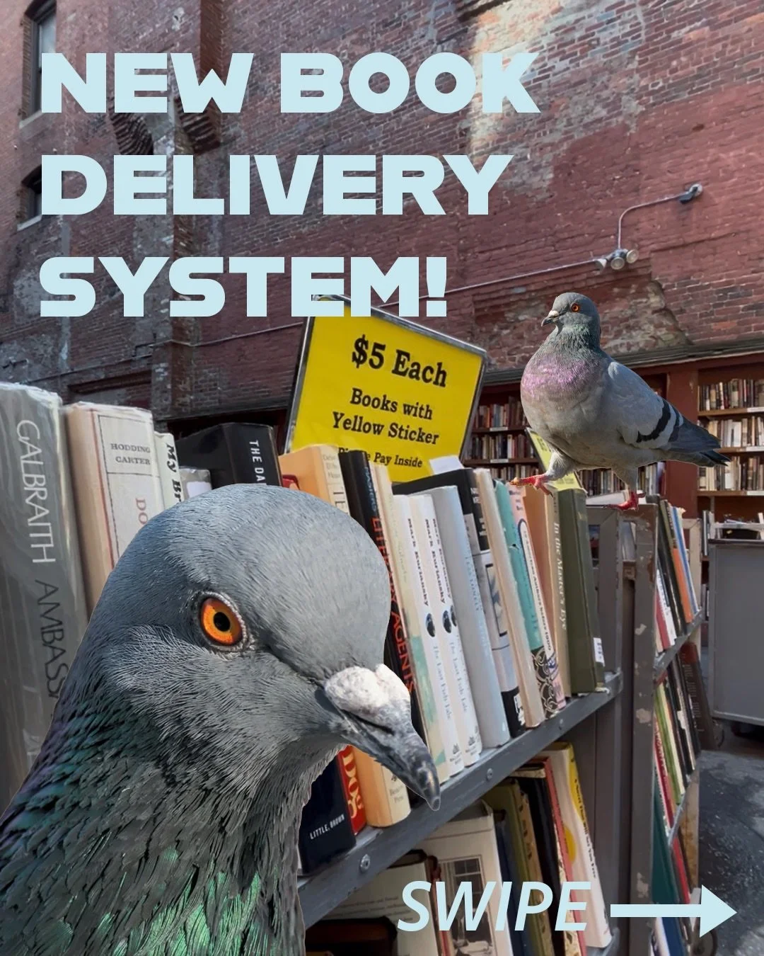 We&rsquo;ve taken our book delivery to new heights 💌🐦&zwj;⬛📚
#brattlebookshop #RareBooks #bostonbookstores #bookstergram #aprilfools