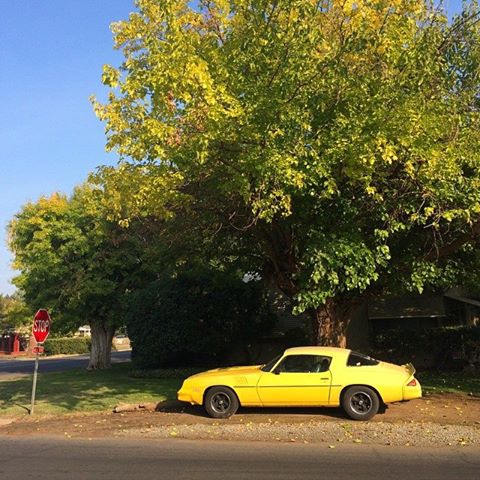 Alexa Eisner: In Fresno, CA