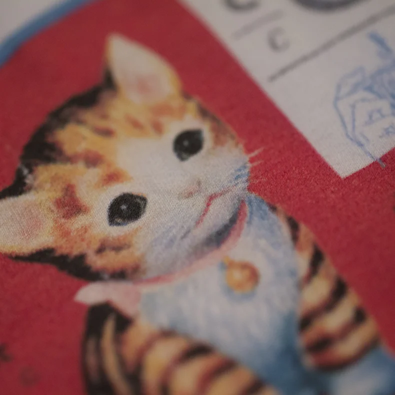 kitten detail.jpg