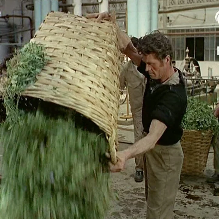 SENTi, (@shop_senti) is based on&nbsp;the verb Sentir,&nbsp;means&nbsp;to feel&nbsp;in French, Italian, Spanish and Latin. With its five letters, SENTi references the five senses: scent, taste, touch, sight and sound.&nbsp;
-
As an extension of brand