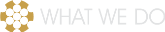WHATWEDO.png