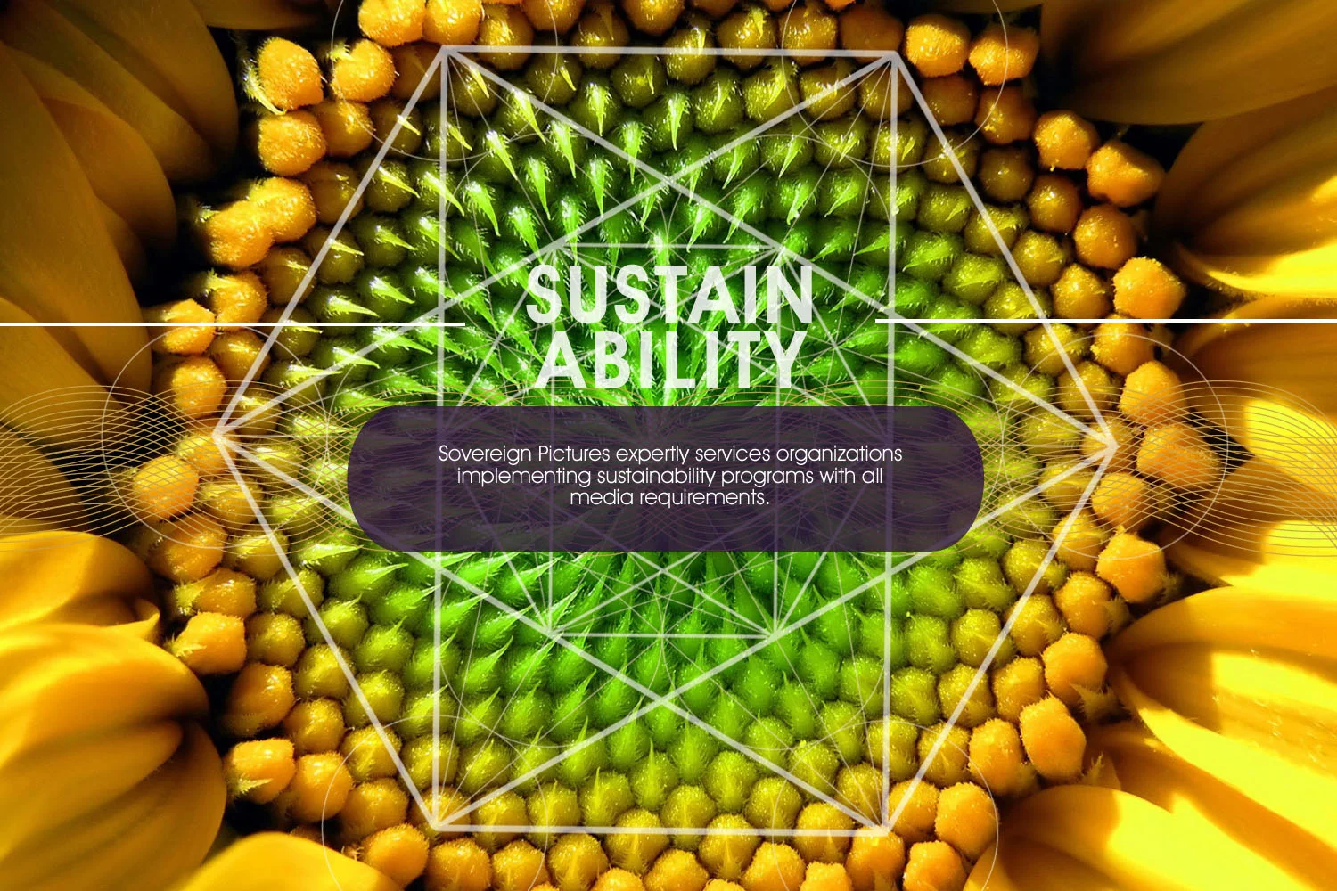 sustainability.jpg