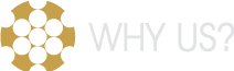 WHYUS.png