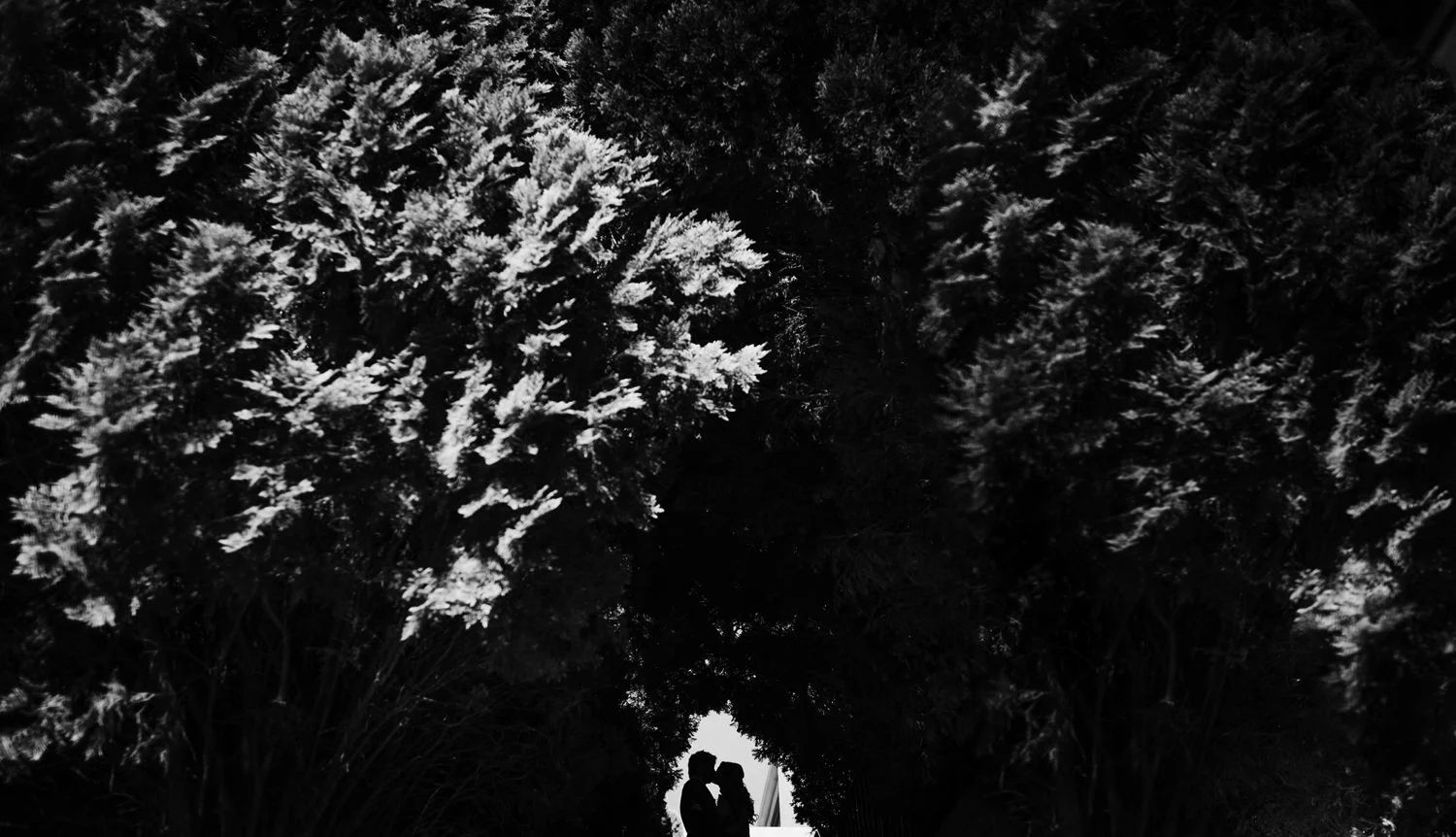 Aleece + Rhys_424_01.jpg