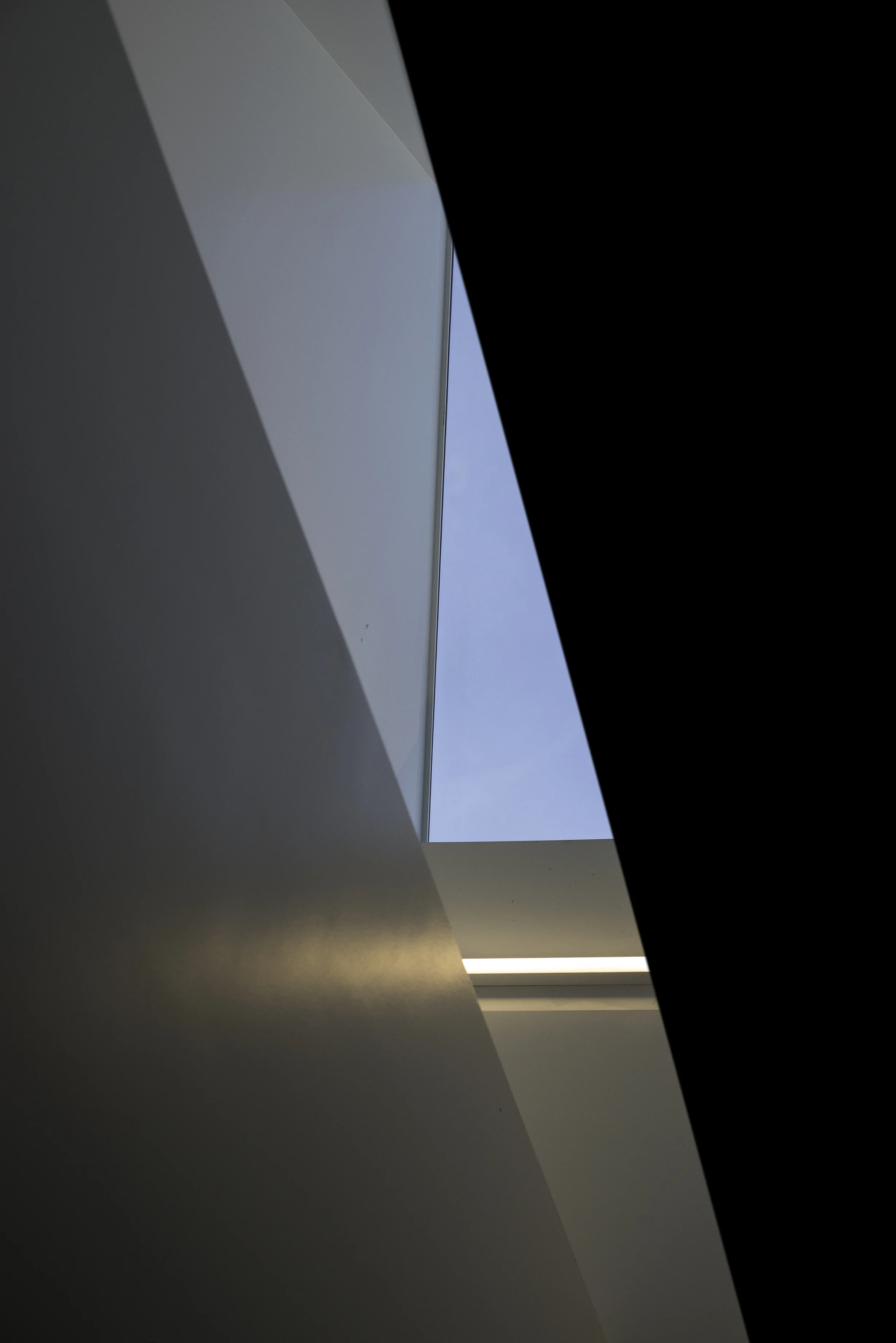 Light_Aaron_Wolf_6.jpg