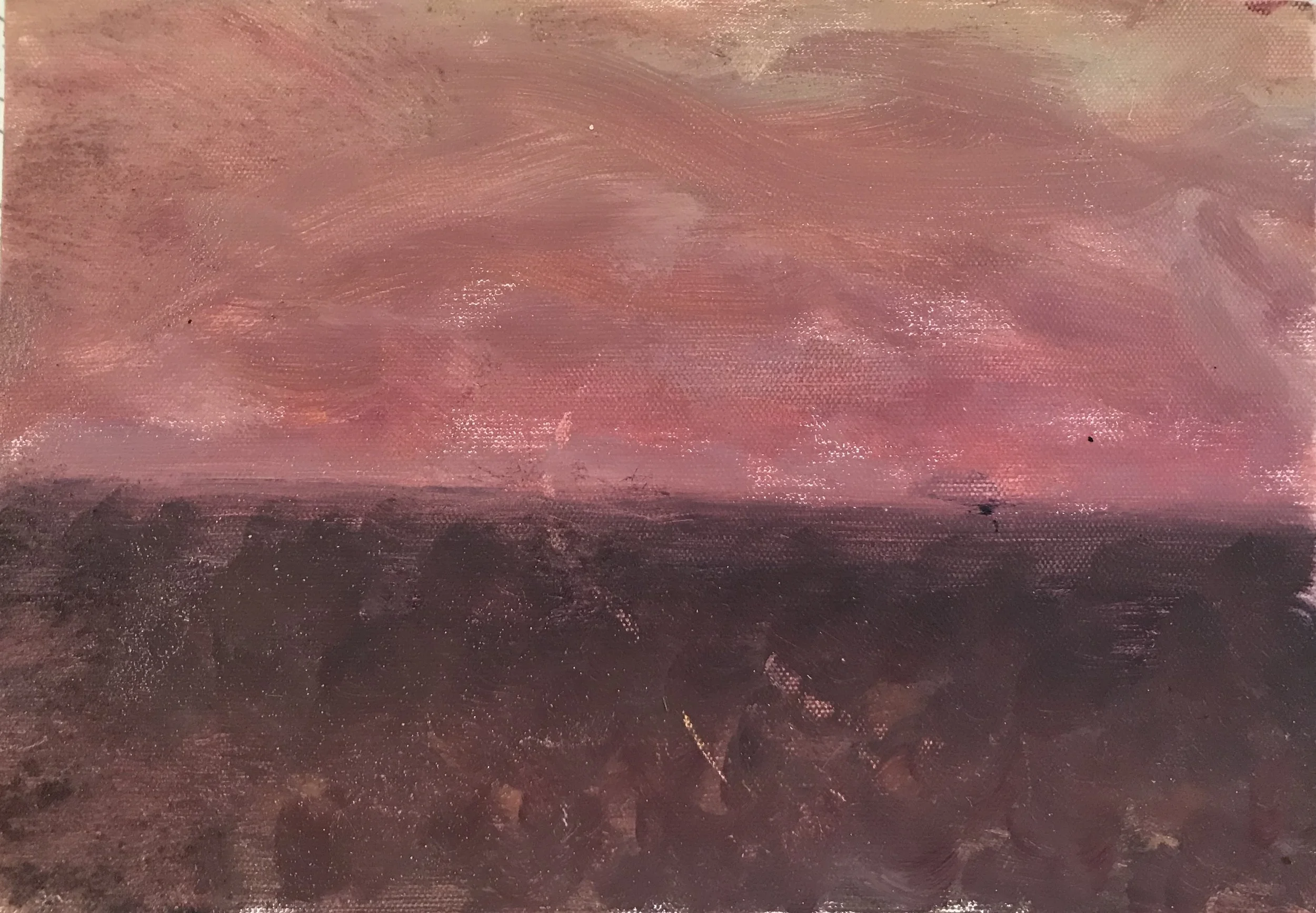 Evening Prayer Brunswick Heads 8 January 2018  oil on canvas board, 29 X 21 cm