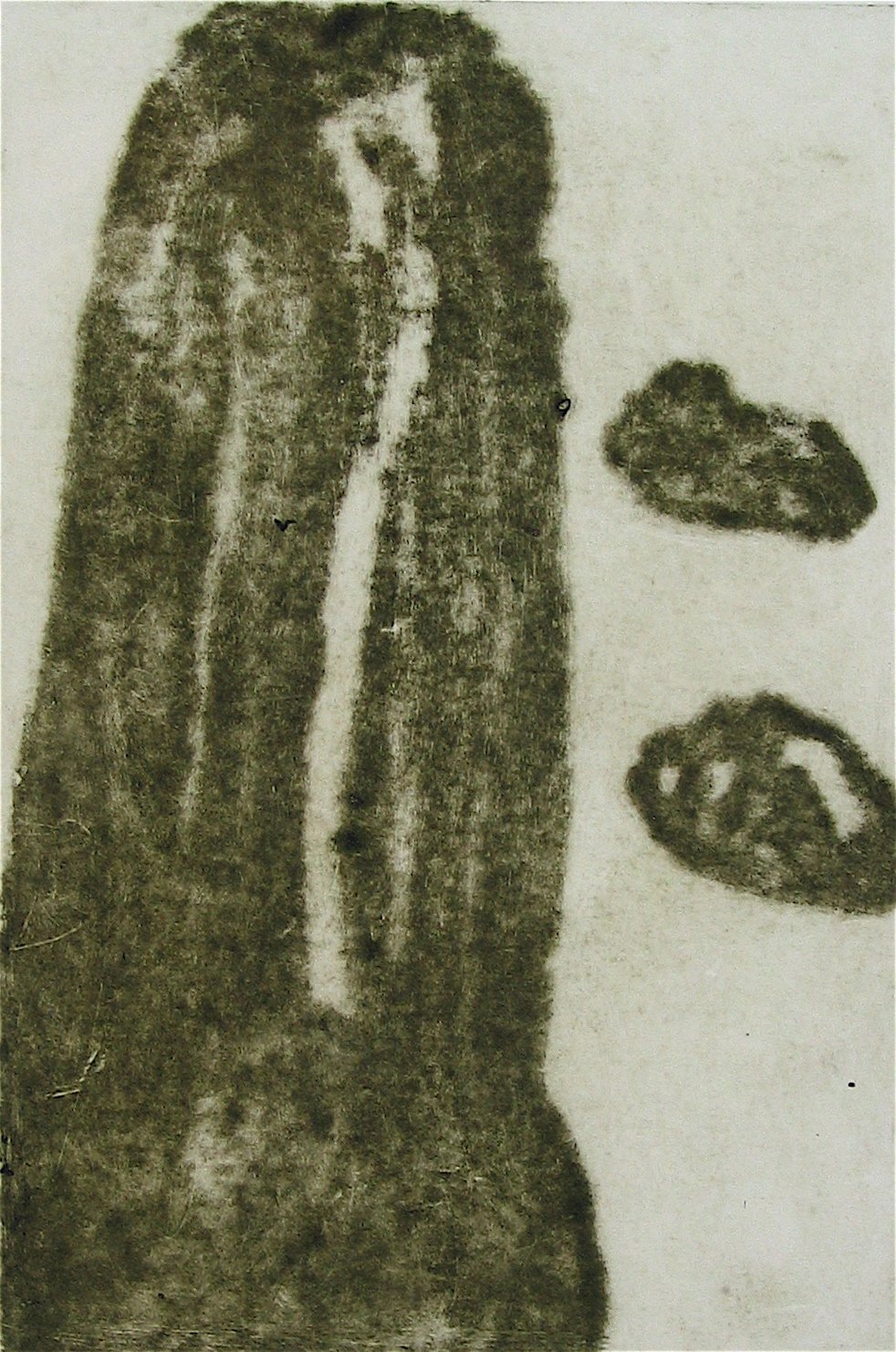 Drypoint Vietnam 2000's