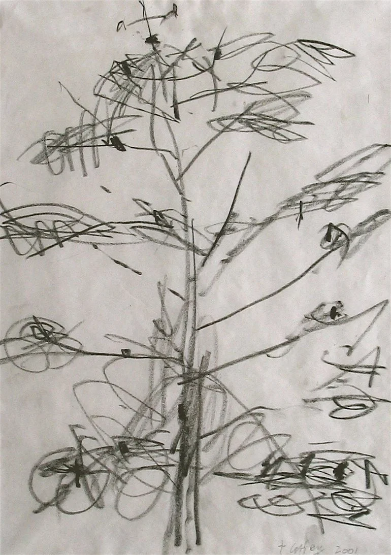 Drawing Myocum 4 2000's