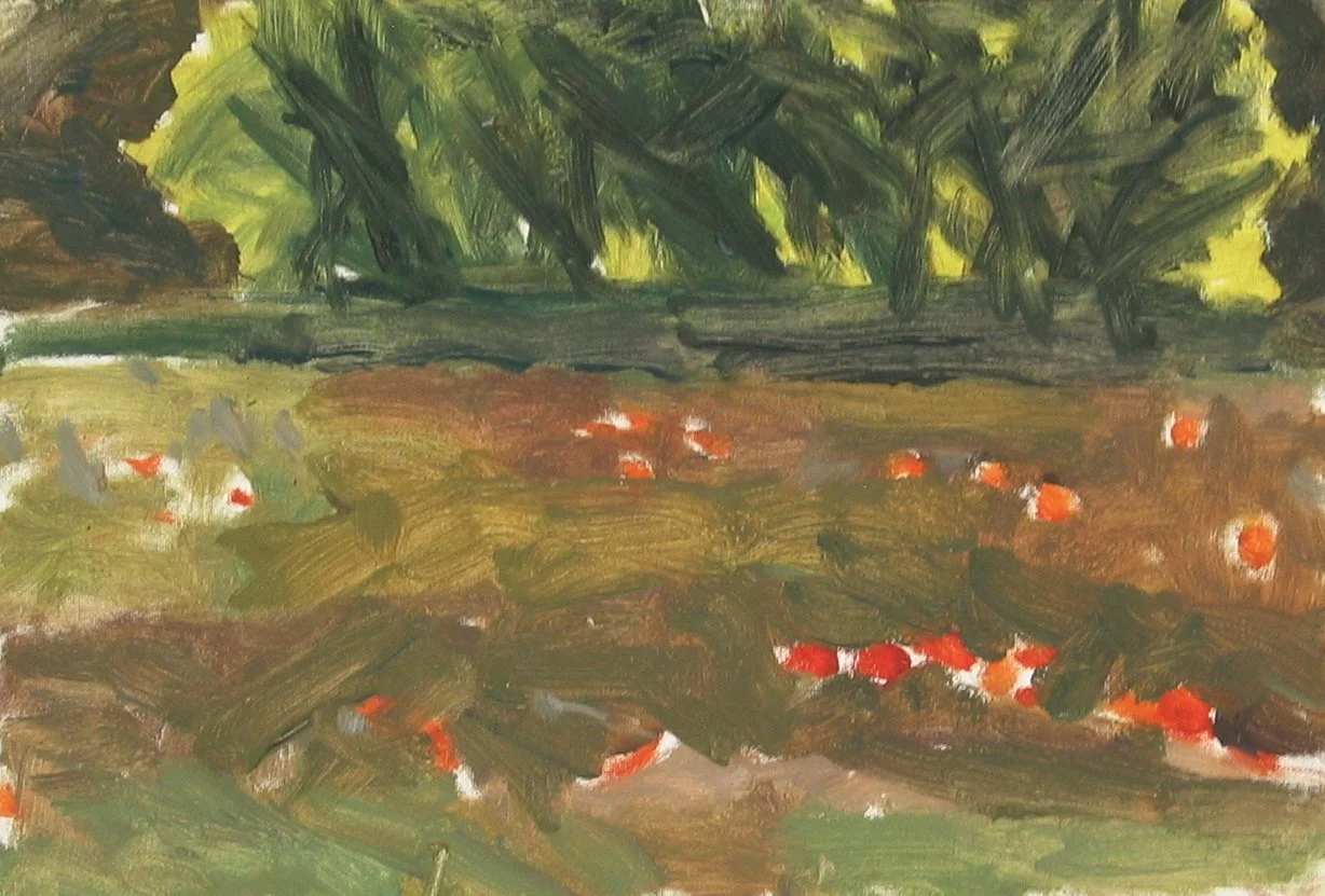 Le Tholonet 5 1990's