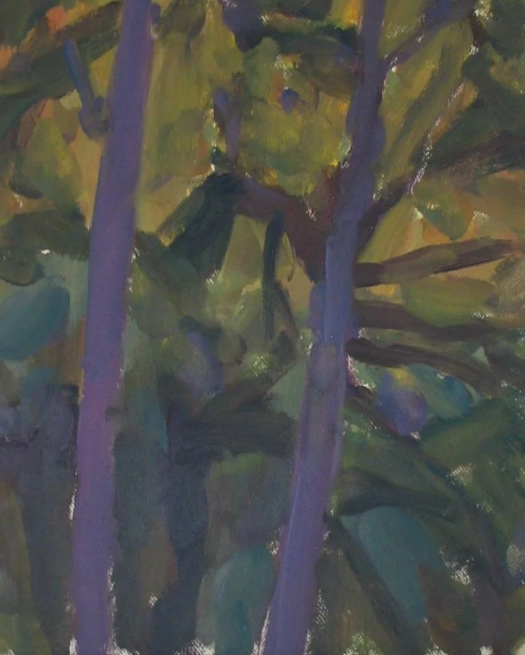 Chateaunoir forest 1990's