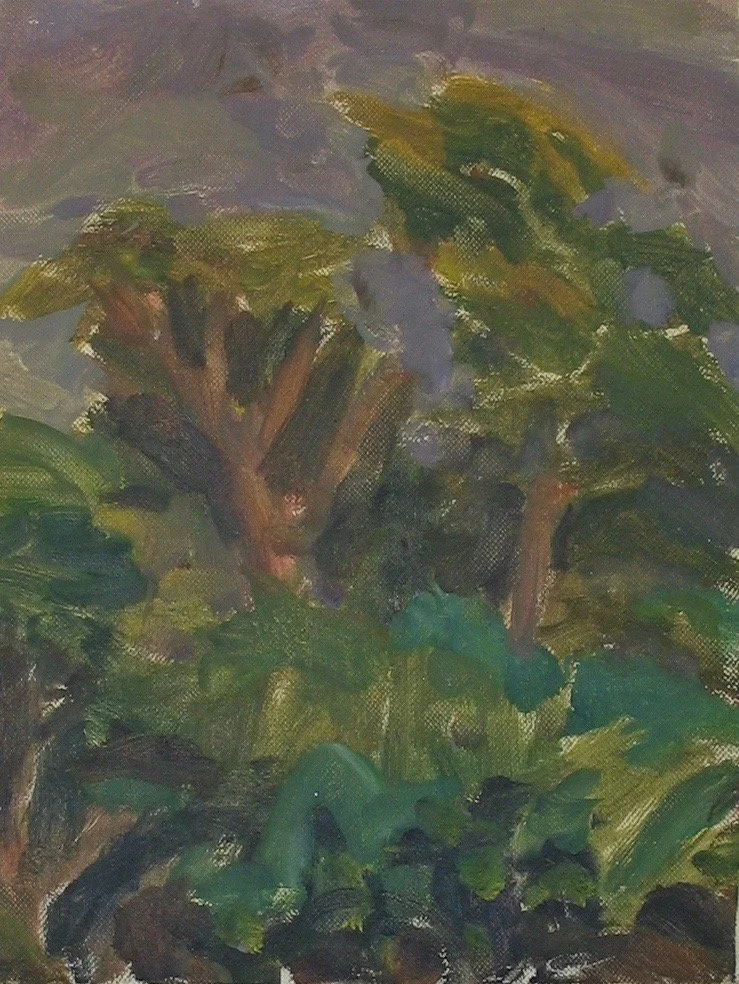 Châteaunoir 9 1980's