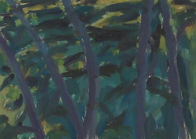 Cateateaunoir forest 2 1990's