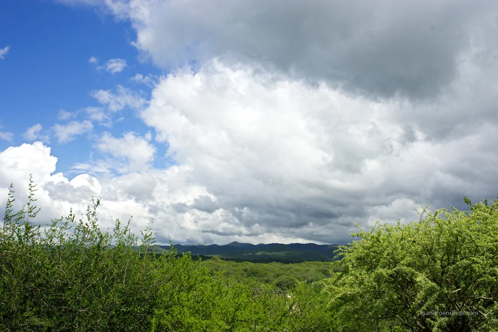 _DSC9530.jpg