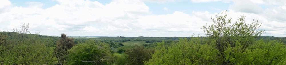 _DSC9587.jpg