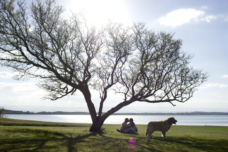 Carolina y Luis: Sesión Pre Boda