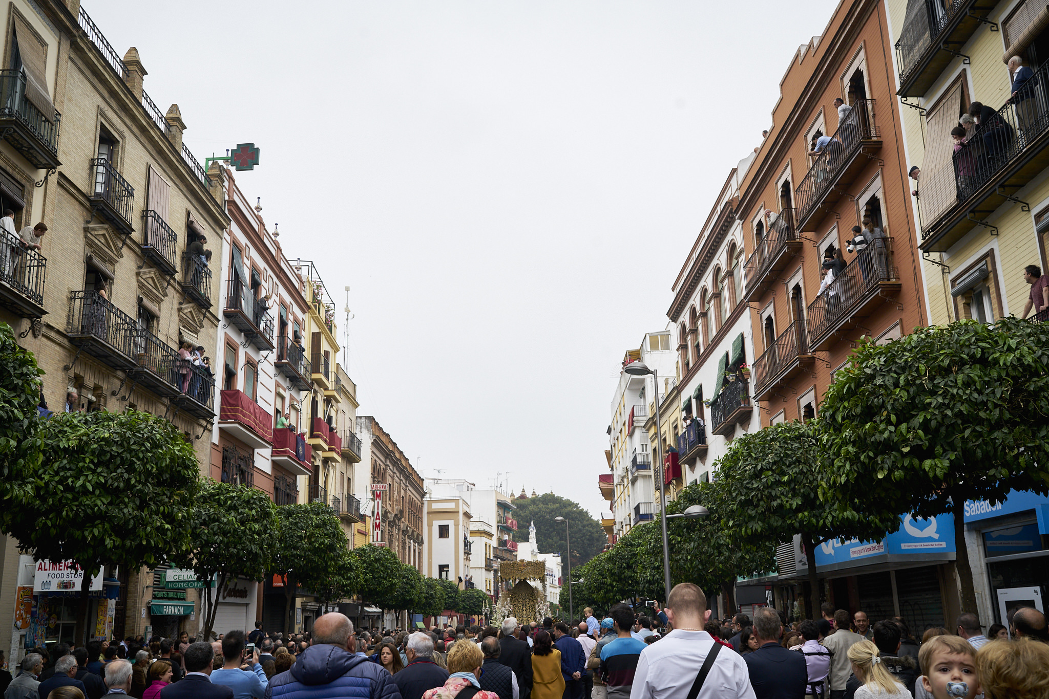 Sevilla Semana Santa 2017 Fotos DSC03302.jpg