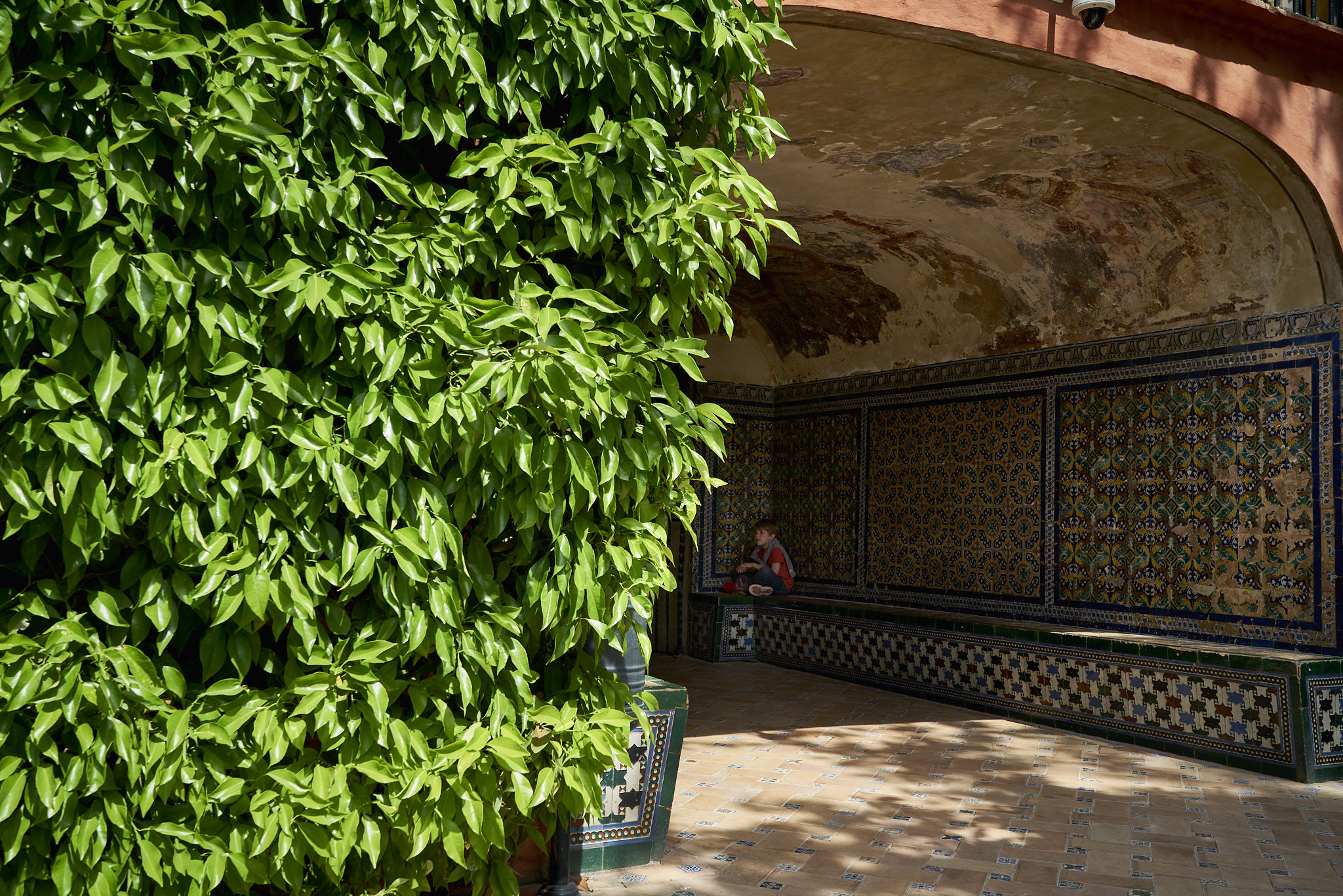 Sevilla Alcazar Plaza España Fotos DSC03672.jpg