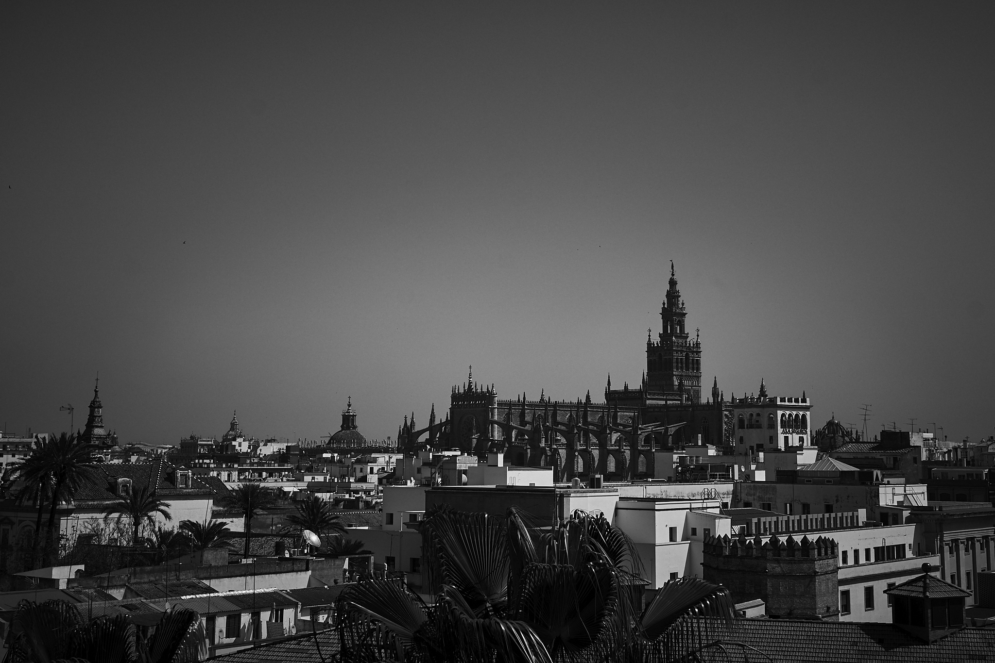 Catedral Sevilla DSC03751.jpg