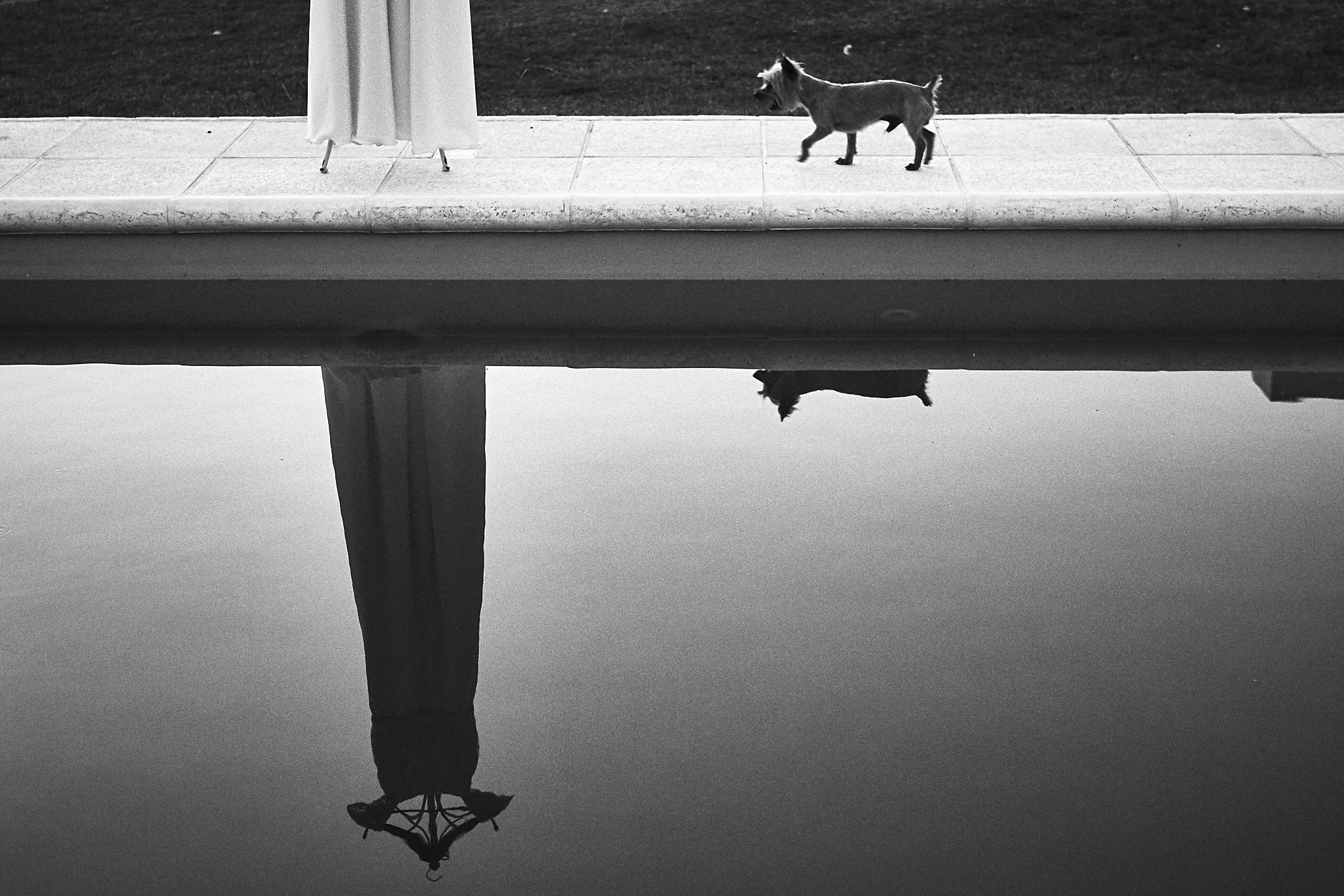 Fotografo de Bodas Argentina 15LME00198.jpg