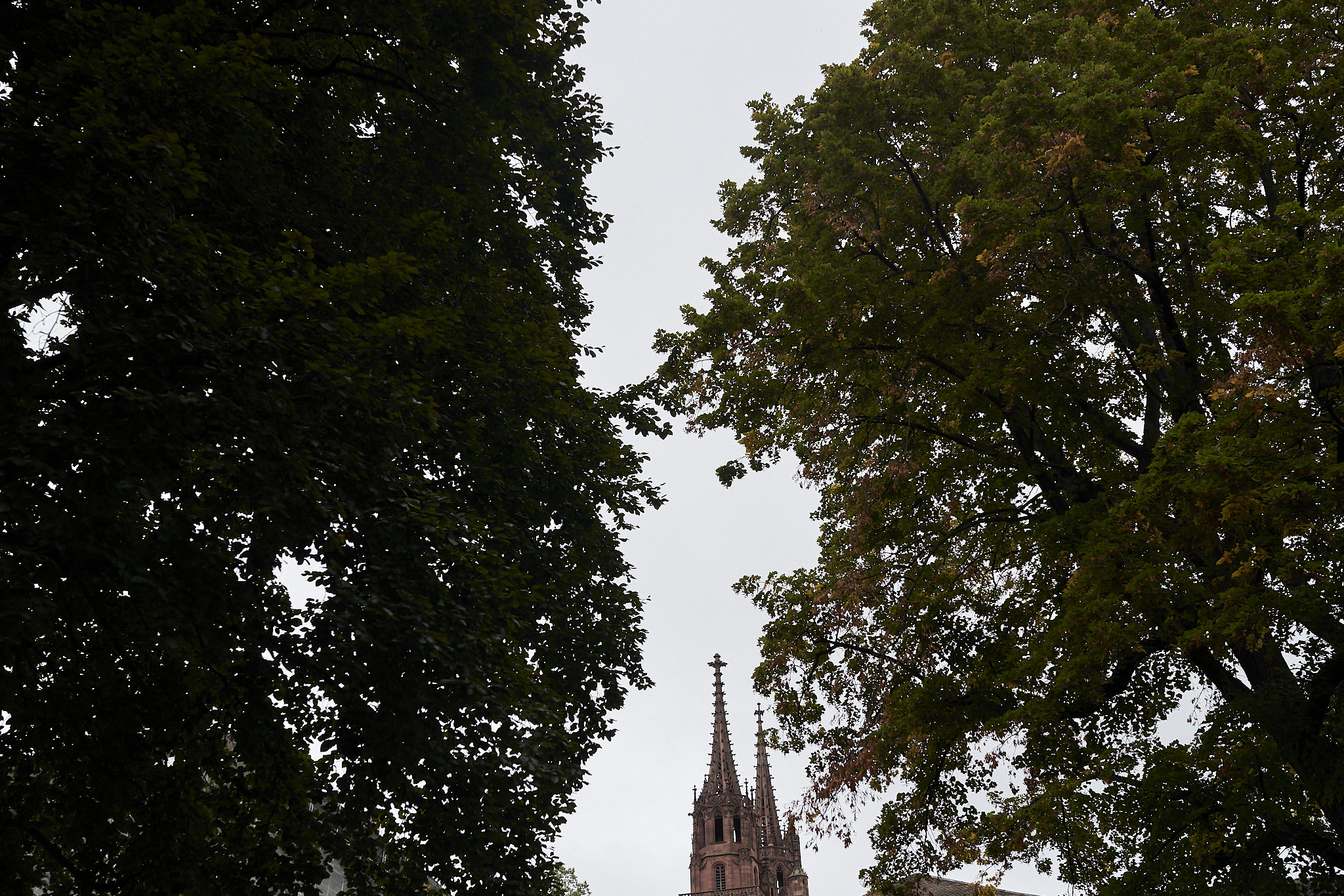  Wedding Photographer in Basel 