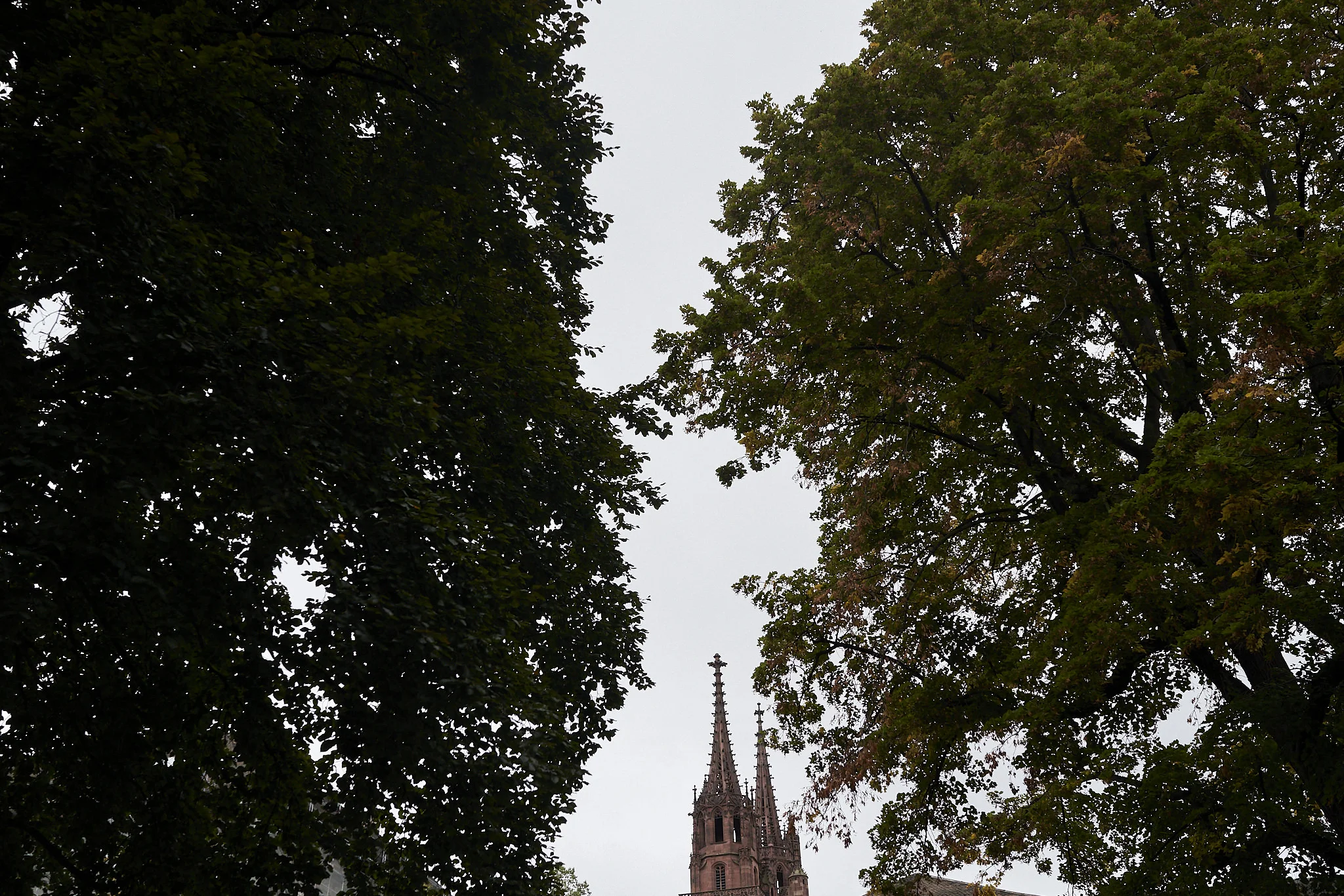 Wedding Photographer in Basel