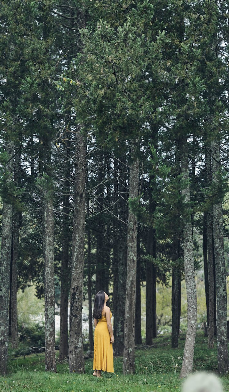 Fotografo Book de 15 Argentina Untitled_Panorama1.jpeg